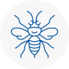 Boston Hornet Nest Removals
